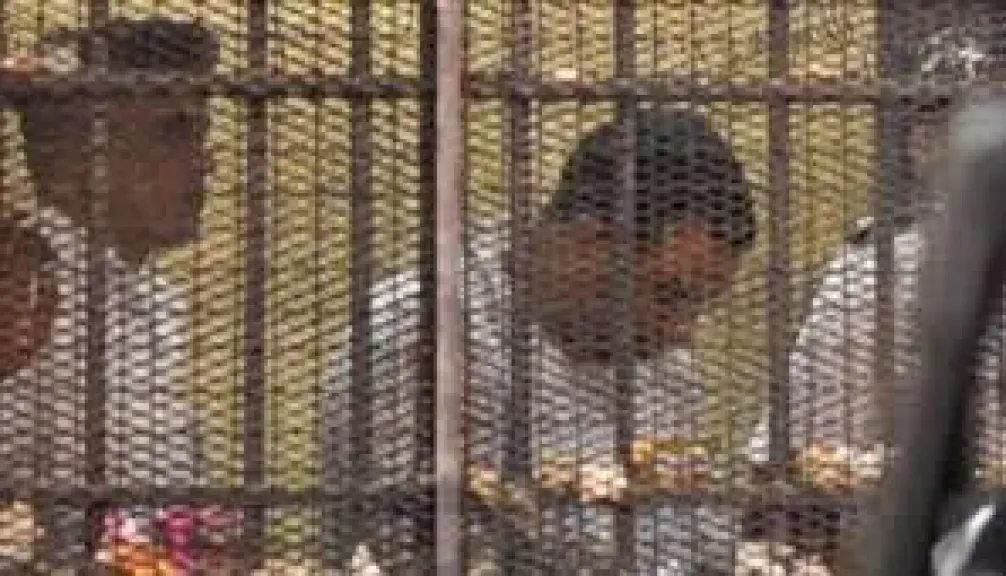 رفض طعن سفاح التجمع.. النقض تؤيد إعدام المتهم لقتله 3 سيدات