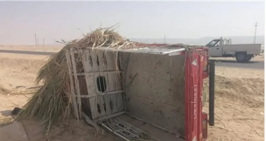 كانوا رايحين الشغل.. إصابة 9 عمال إثر حادث انقلاب سيارة ربع نقل في قنا