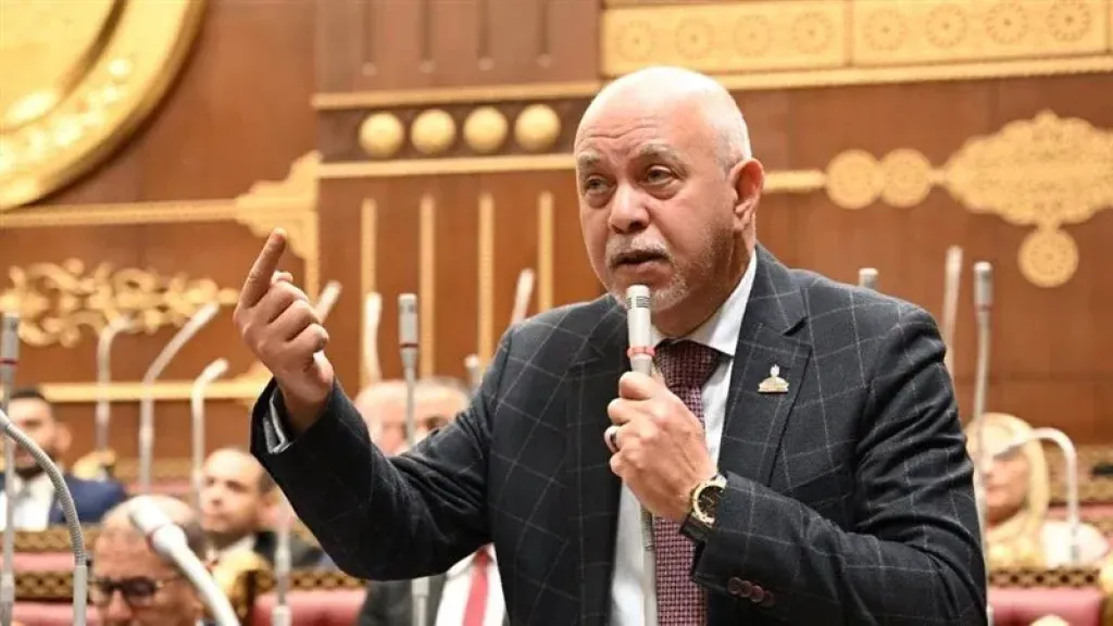 حازم الجندي: دعم مصر لأمن الخليج ثابت ولن نسمح بأي اعتداء عليه