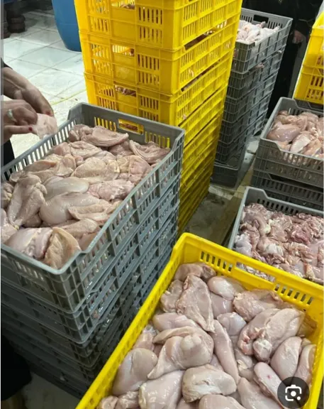 مصادرة 287.5 كيلو من الدجاج غير صالح للاستهلاك بالإسكندرية