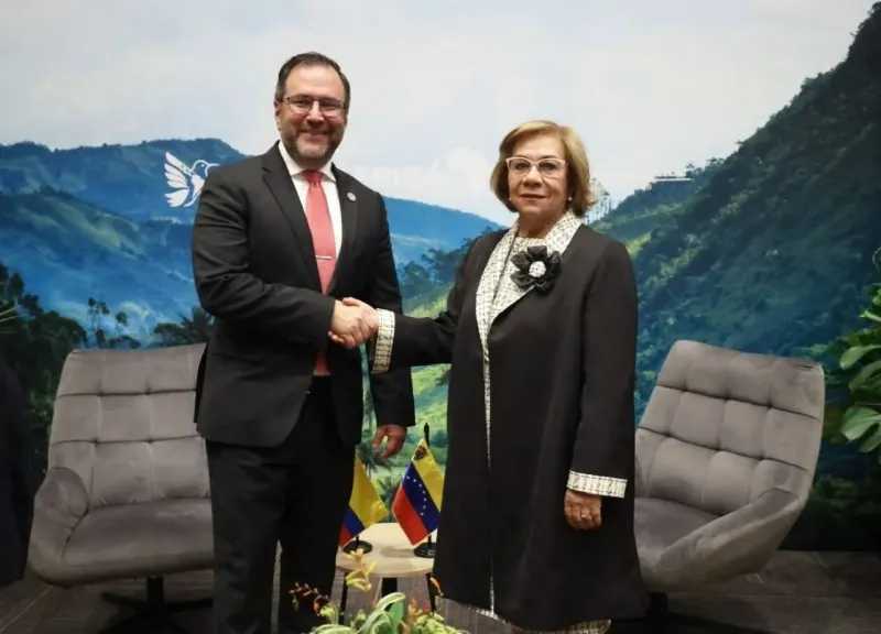 وزير خارجية فنزويلا يبرز أهمية مشاريع التكامل الإقليمي والتعاون بين بلدان الجنوب