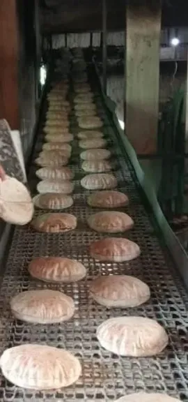 تحرير 53 محضرا لمخابز بلدية مخالفة خلال حملات تموينية بالبحيرة