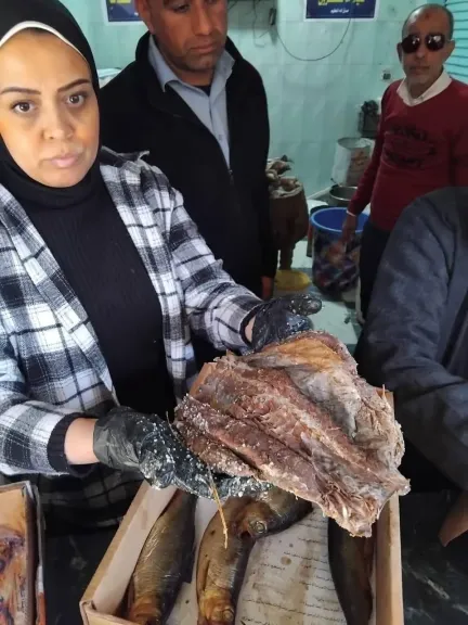 ”الزراعة” تضبط أكثر من 4.3 طن من اللحوم والأسماك المخالفة وتحرر 17 محضرًا خلال أيام عيد الفطر