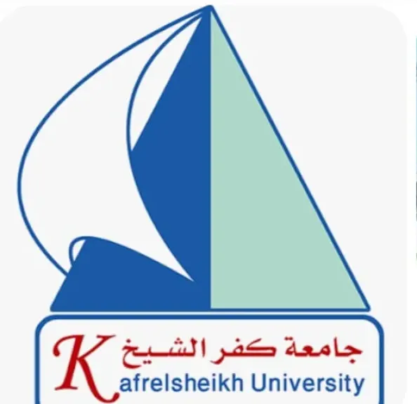 تحويل الدراسة أونلاين بجامعة كفر الشيخ بسبب سوء الأحوال الجوية