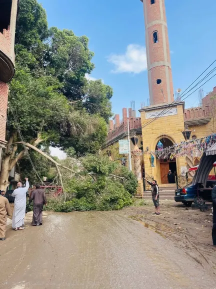 سقوط شجرة على أسلاك الكهرباء بقرية عين السيليين بالفيوم يُهدد حياة الأهالي