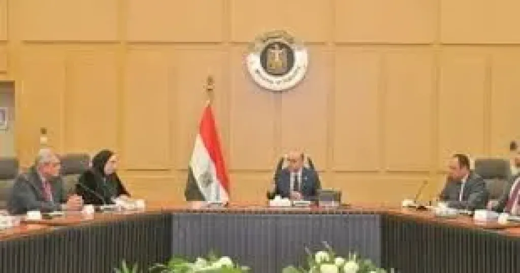 وزير الاستثمار يبحث مع المجلس التصديرى للتشييد والبناء آليات التوسع الخارجى