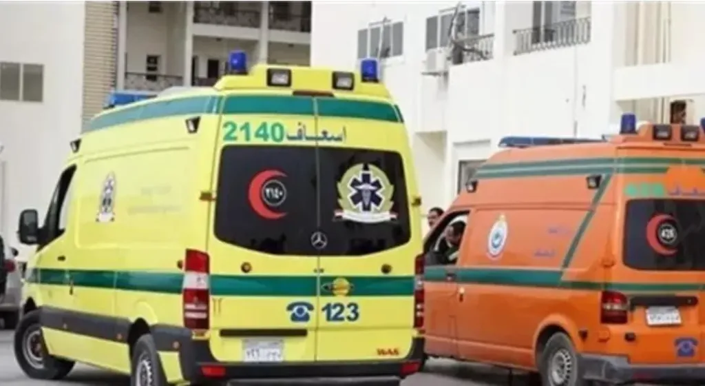 بسبب خلافات على شقة.. شاب يتعدى على حماته السبعينية بضربة ساطور في قنا