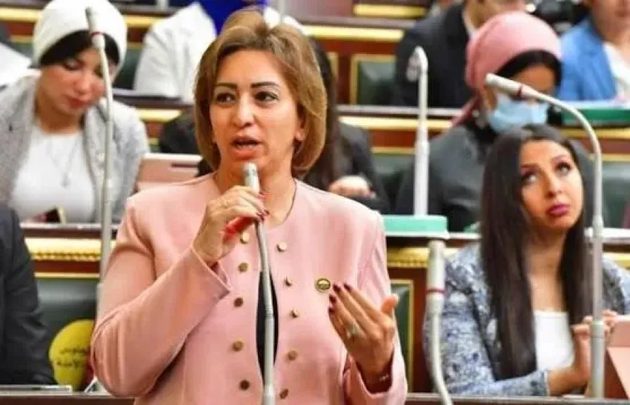 طلب إحاطة برلماني: بطء التحول الرقمي لبوابات الطرق يهدر الوقت والوقود