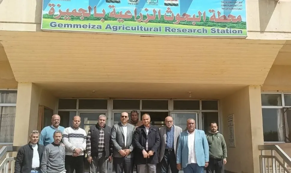 تعاون بين ”زراعة الغربية” وبحوث الجميزة لتعزيز إنتاجية المحاصيل الاستراتيجية