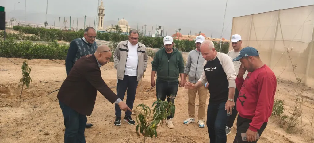 زراعة جنوب سيناء  وتعزيز فرص التسويق والاستثمار يعود بالنفع على المزارعين والمواطنين