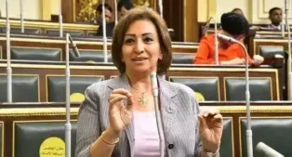 النائبة الدكتورة مها عبد الناصر، عضو مجلس النواب عن الحزب المصري الديمقراطي الاجتماعي