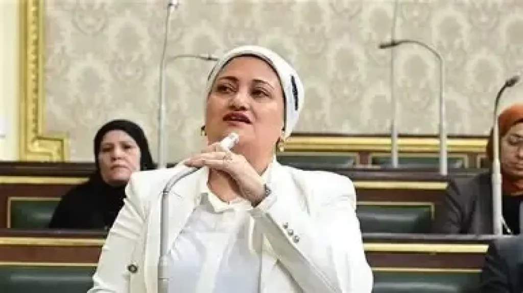 «تساؤلات برلمانية».. سناء السعيد تطالب الحكومة بتوضيح مبررات زيادة أسعار التذاكر