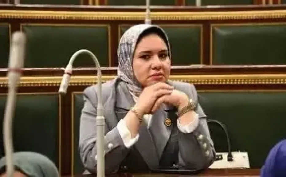 «محدودية التغيير».. راوية مختار تنتقد التشكيل الوزاري وتطالب بتحول حقيقي في السياسات