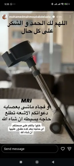 محمد محمود عبد العزيز 