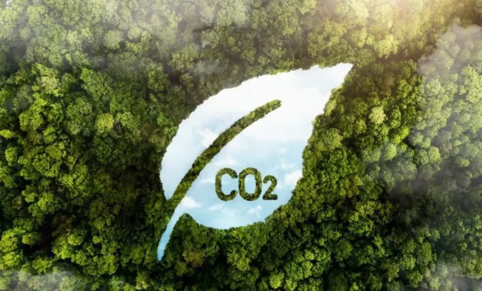 أفريقيا تتمرد على ”إملاءات المناخ”: هل تشتعل حرب تجارية بين القارة والاتحاد الأوروبي؟