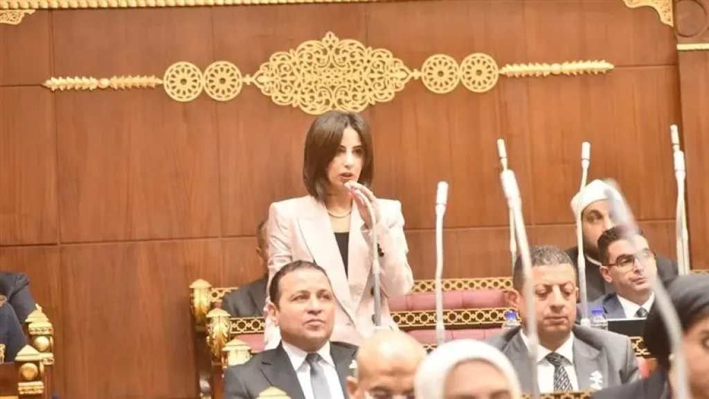 يوستينا رامي: قانون حماية المنافسة خطوة نحو سوق منظم