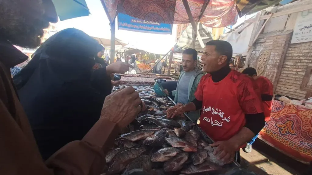 أسماك بأسعار مخفضة لتخفف الأعباء عن المواطنين ضمن مبادرة «معًا ضد الغلاء»