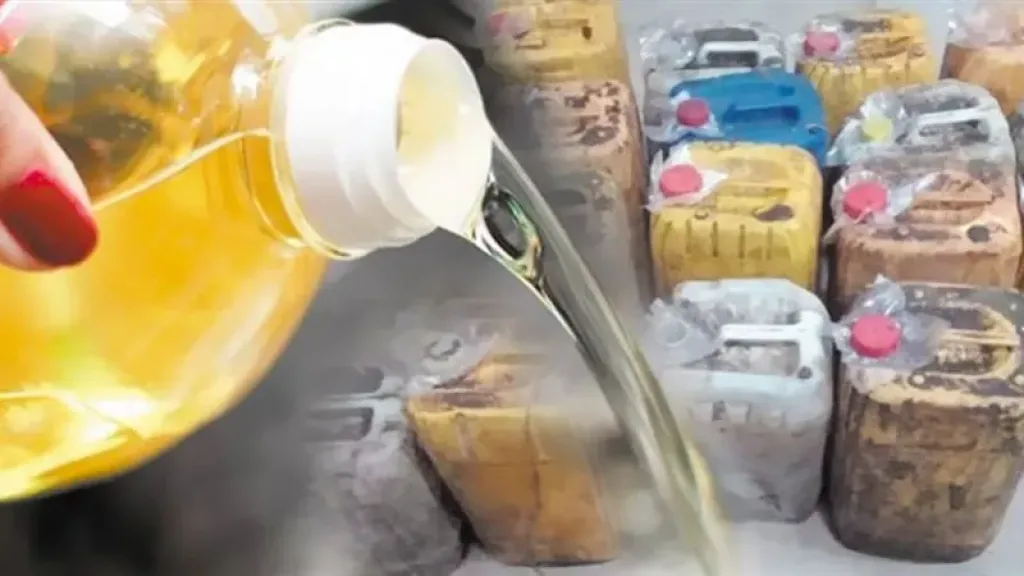 مصر تبدأ عصرًا جديدًا للرقابة على زيوت الطعام المستعملة وتحويلها لوقود حيوي