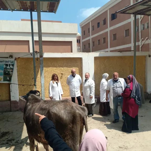 الكشف والعلاج بالمجان.. حملة بيطرية موسعة تجوب قرى القليوبية
