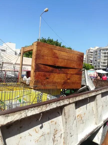 إحياء الإسكندرية..إزالة 42 حالة مخالفة من الأكشاك بحي شرق