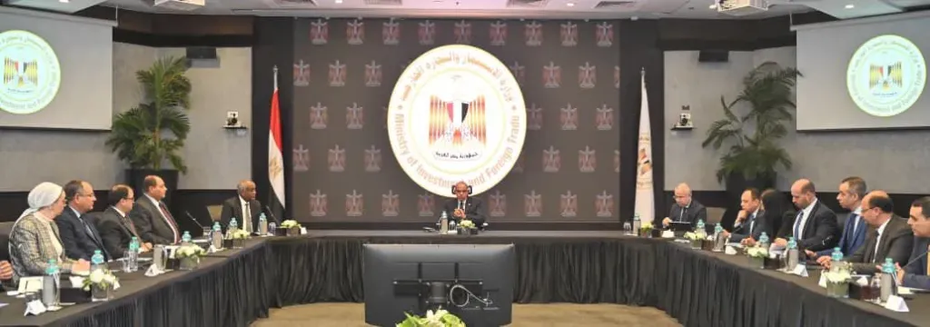 صندوق للاستثمار في أفريقيا..«فريد»: مصر تدشن مسارًا جديدًا لتعزيز حضورها في أسواق القارة