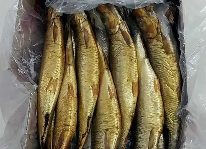 شم النسيم 2026.. 5 علامات لكشف الفسيخ الفاسد