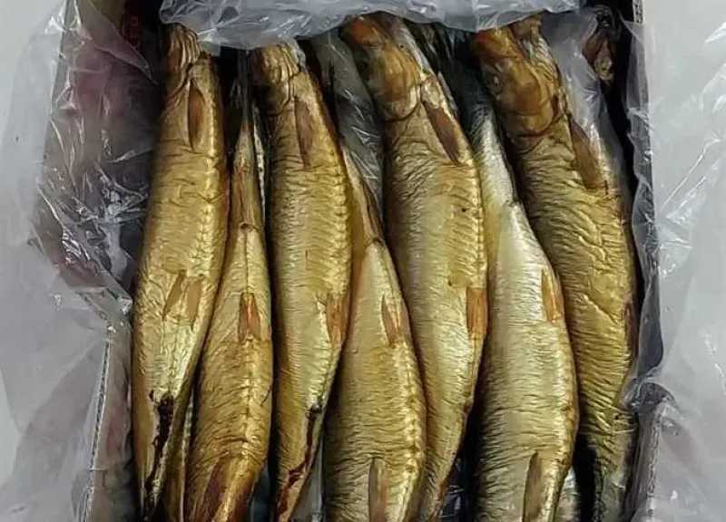 شم النسيم 2026.. 5 علامات لكشف الفسيخ الفاسد