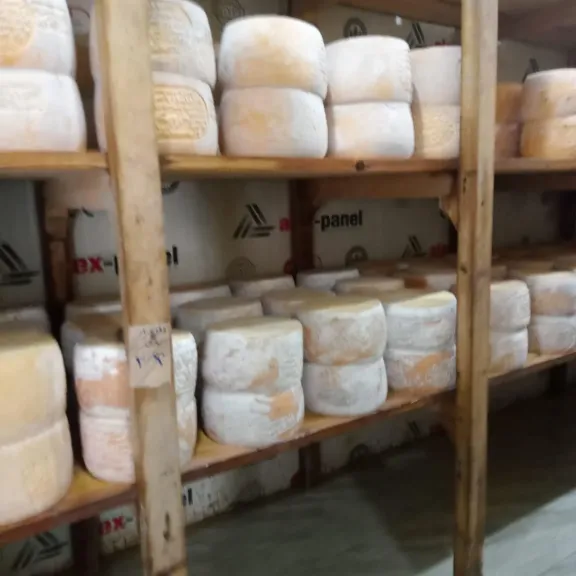 تحرير 132 محضرًا وضبط نحو 1.1 طن سلع فاسدة ومجهولة المصدر في حملات تموينية مكثفة بمحافظة كفرالشيخ