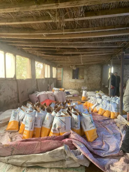 الزراعة تواصل حملاتها ضد الغش في التقاوي وتضبط شحنات غير معتمدة