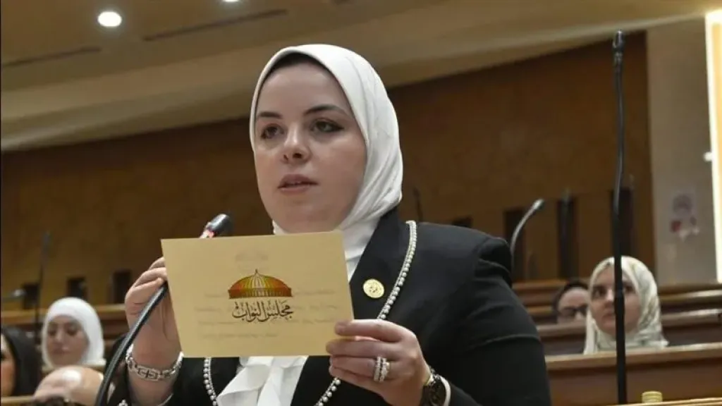 برلمانية: توجيهات الرئيس السيسي بشأن الأسرة تعزز استقرار المجتمع