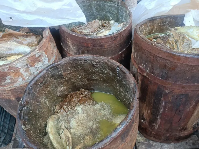 حملات تموينية مكثفة بكفر الشيخ تسفر عن 88 مخالفة بالمخابز وضبط كميات كبيرة من السلع مجهولة المصدر