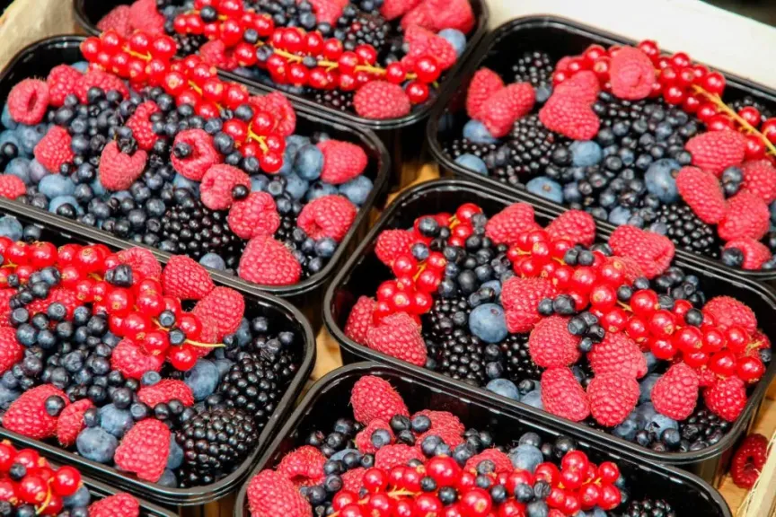 كنز سحري في فاكهة التوت.. إليك فوائده الصحية المذهلة للجسم والبشرة