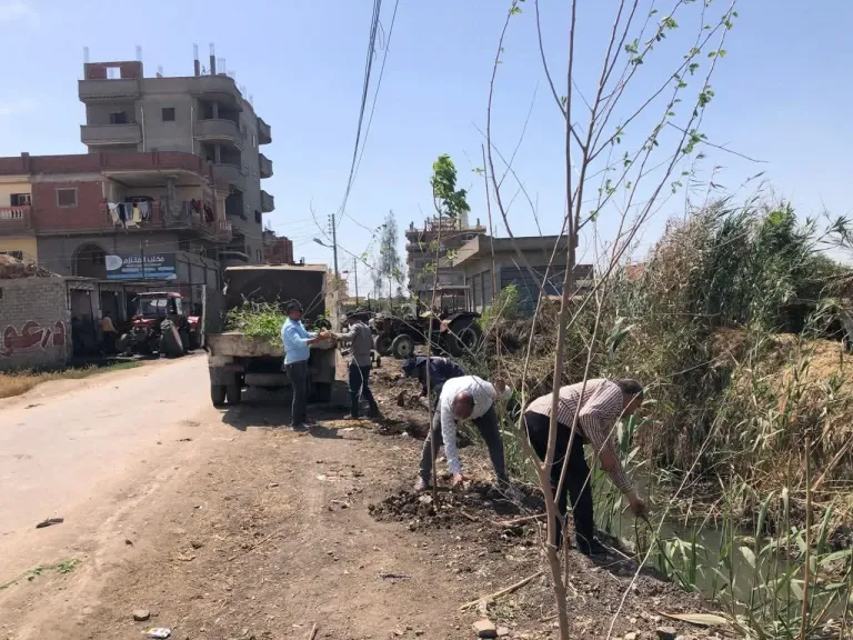 ضمن المبادرة الرئاسية «100 مليون شجرة»..محافظ كفرالشيخ يتابع زراعة الأشجار بمدينة دسوق