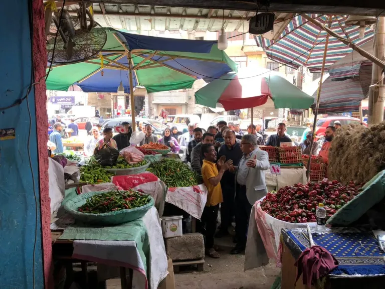 محافظ الدقهلية يتفقد سوق كفر البدماص بالمنصورة ويشدد على: عدم المغالاة في الأسعار