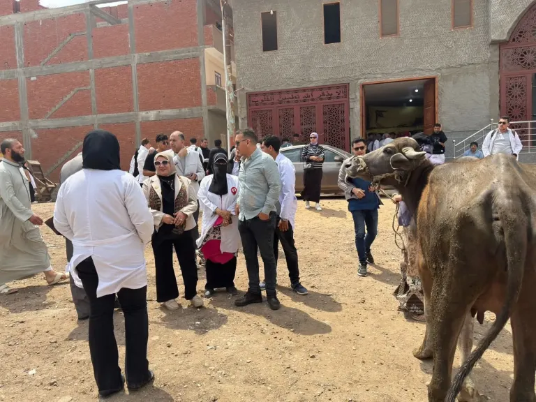ضمن المبادرات الرئاسية وتحسين مستوى معيشة المواطنين..قافلة بيطرية مجانية بقرية قراجة تعالج 645 رأس ماشية بالتعاون مع جامعة كفرالشيخ