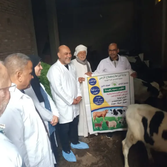 القليوبية تعلنها صريحة: لا مكان لـ«الجلد العقدي».. وتحصين 113 ألف رأس ماشية