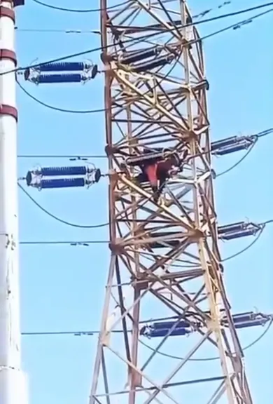 إصابة فني كهرباء بصعق خلال صيانة برج ضغط عالٍ بطامية