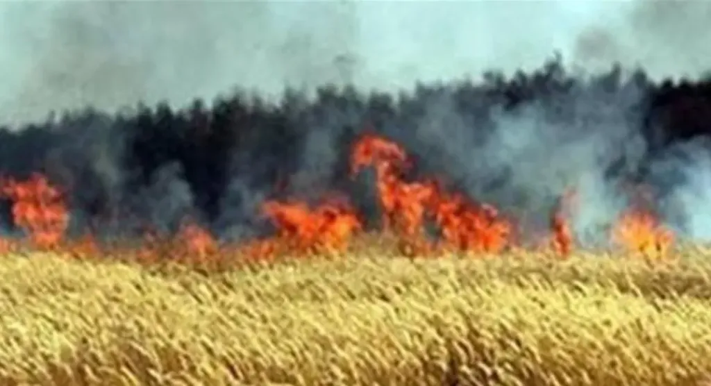 12 قيراط أصبحوا رماد.. نشوب حريق يلتهم جرن قمح في قنا