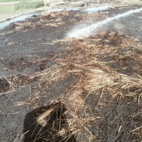 12 قيراط تحولوا لرماد.. ننشر صور حريق التهم جرن قمح في قنا