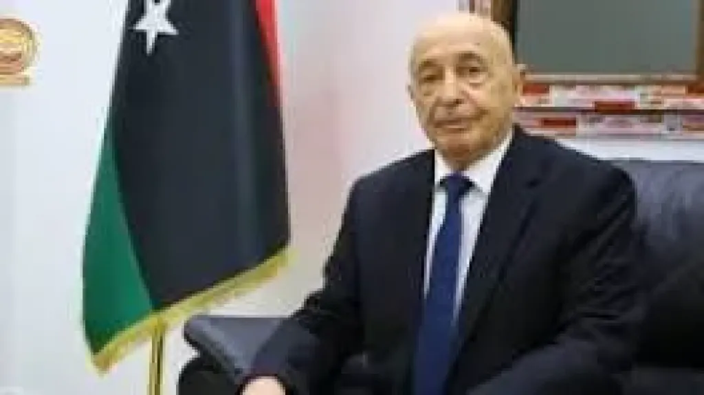 لقاء مرتقب بين رئيسي مجلسي النواب والدولة في ليبيا