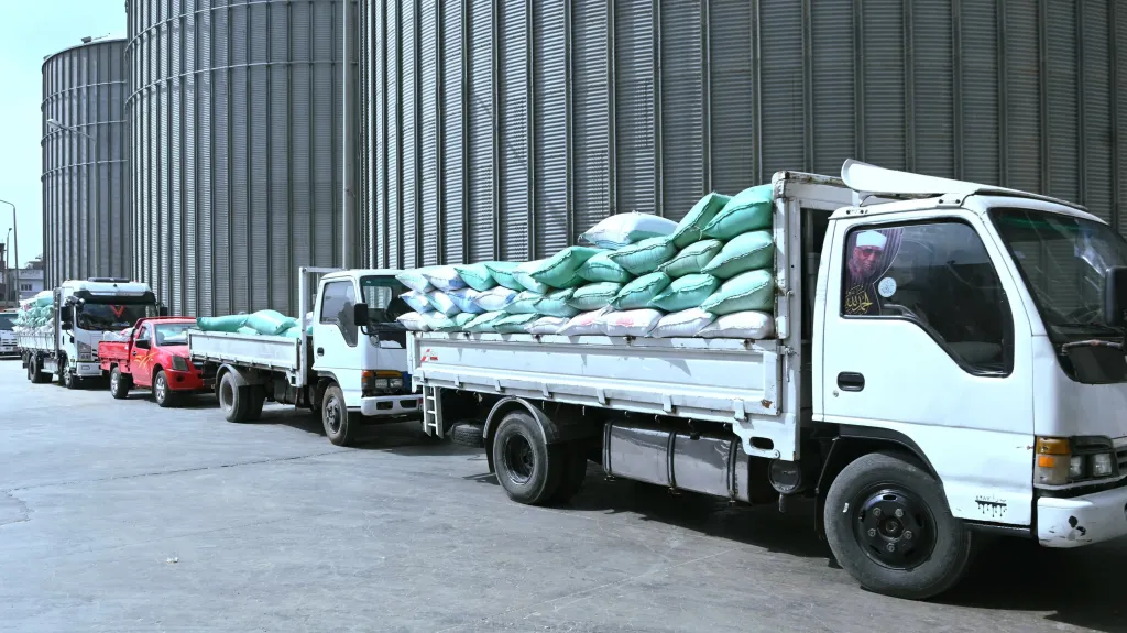 توريد 1748 طن قمح الى شون وصوامع البحيرة