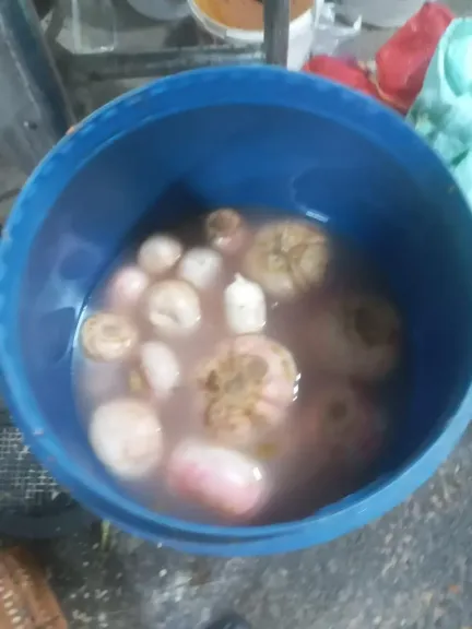 ضبط 10 أطنان من المخلل غير صالح للاستهلاك الأدمي بالإسكندرية