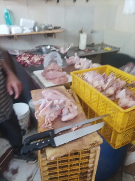 تموين الغربية تضبط 321 كجم لحوم ومصنعات مجهولة المصدر و2500 سرنجة طبية و750 كجم سكر تمويني