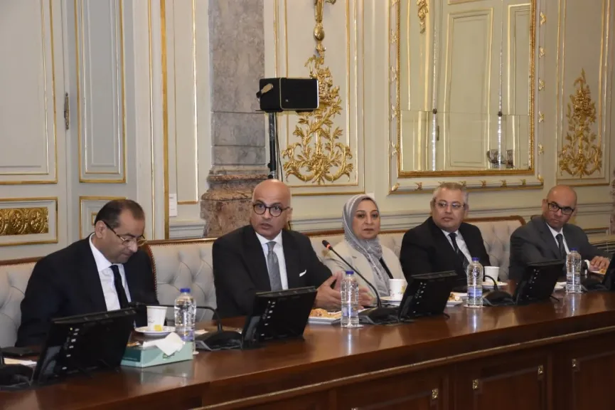 جامعة عين شمس تدشن مشروع «Learning Buddy» لدعم الطلاب بالذكاء الاصطناعي