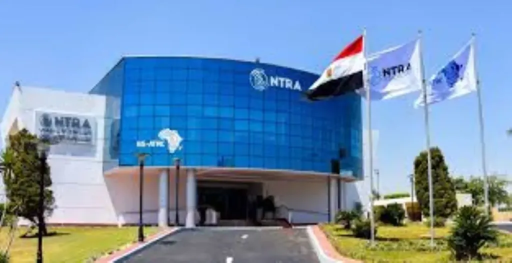 «تنظيم الاتصالات» : زيادة استخدام خدمات الإنترنت الثابت بنسبة 36 % والمحمول 12 %