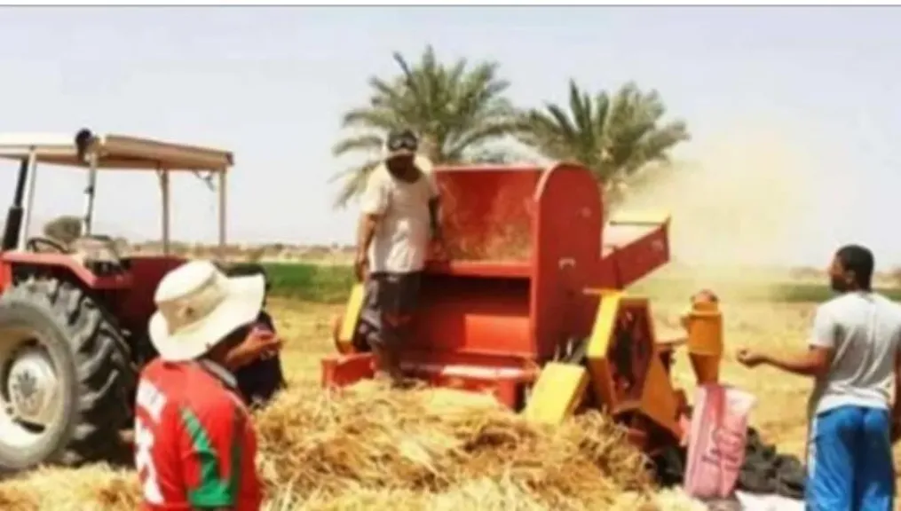 كانت بتجمع الغلال.. مصرع سيدة أصابتها دراسة قمح داخل الزراعات في قنا