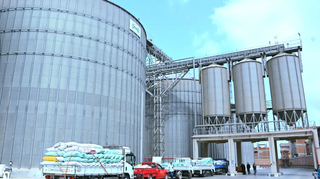 توريد 7360 طن قمح إلى شون وصوامع البحيرة