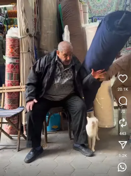 قبل لحظة من الكارثة.. مسن يتدخل لإنقاذ قطة في اللحظات الأخيرة