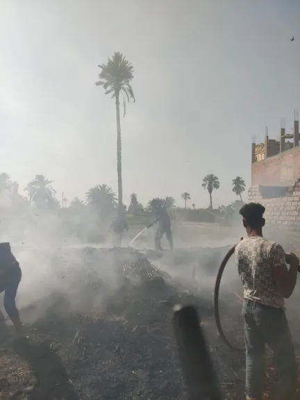 3 سيدات مصابات ونفوق ماشية وأغنام.. أول صور لحريق 5 منازل بسبب فرن بلدي بقنا