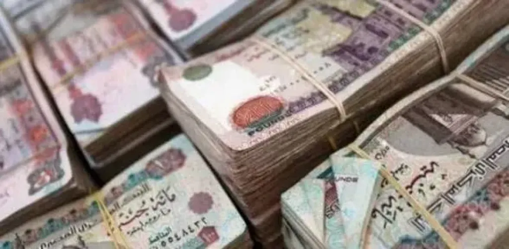 ضبط 5 عناصر جنائية غسلوا 350 مليون جنيه حصيلة الاتجار فى المخدرات